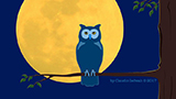 Owl nocturn